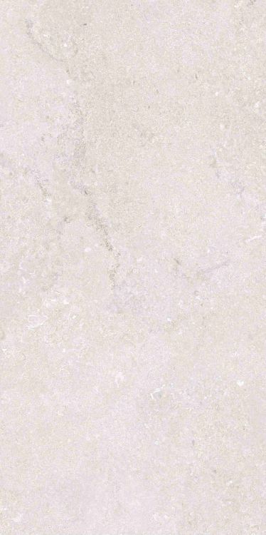 OL Port Land Stone Bianco Matte 12 x 24